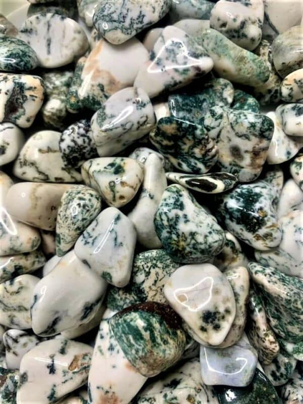 Tree Agate