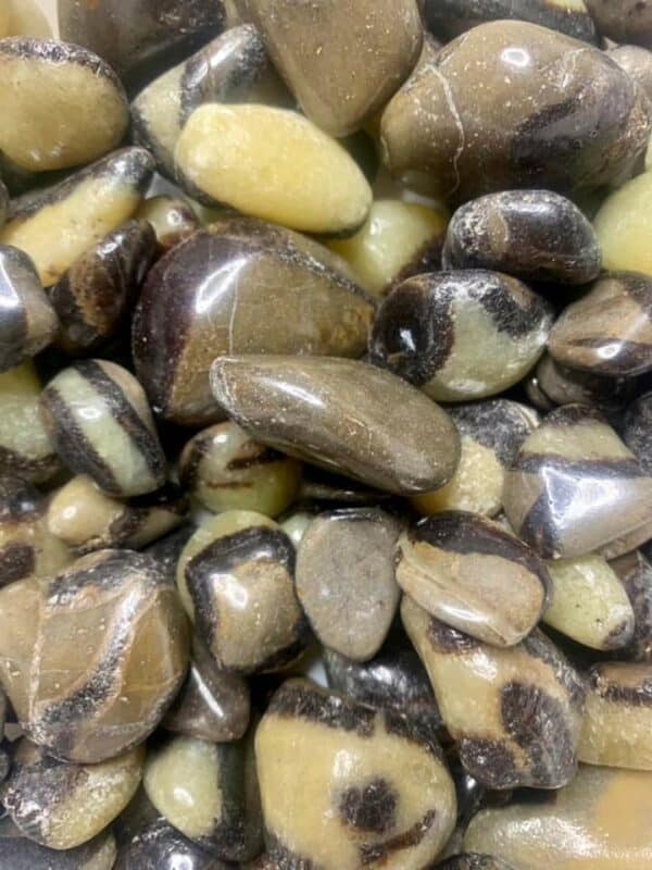 septarian