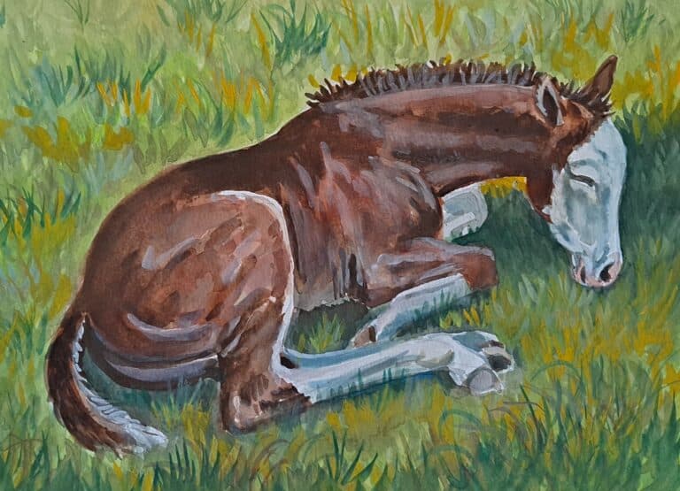 WC GOUACHE paint filly bald face b