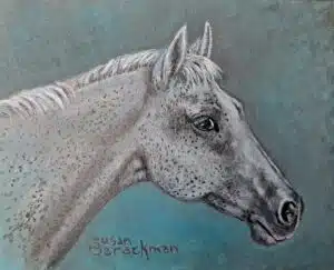 acrylic gray gelding horse