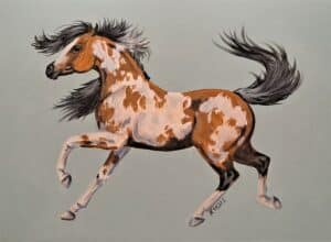 acrylic paint pinto buckskin5b