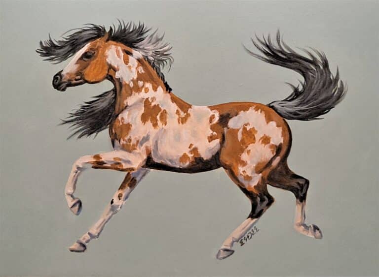 acrylic paint pinto buckskin5b
