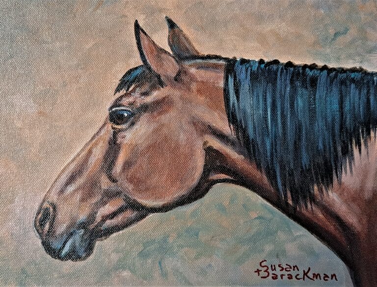 bay TB horse head acrylic