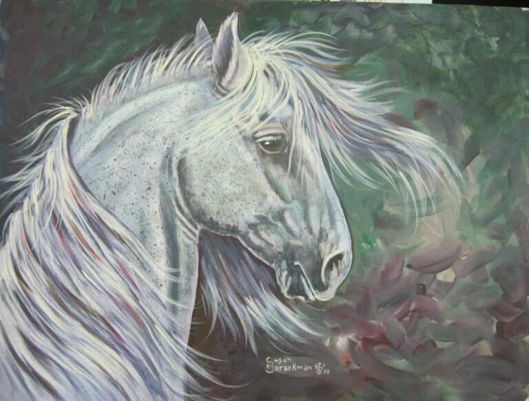 lipizzan horse head acrylic