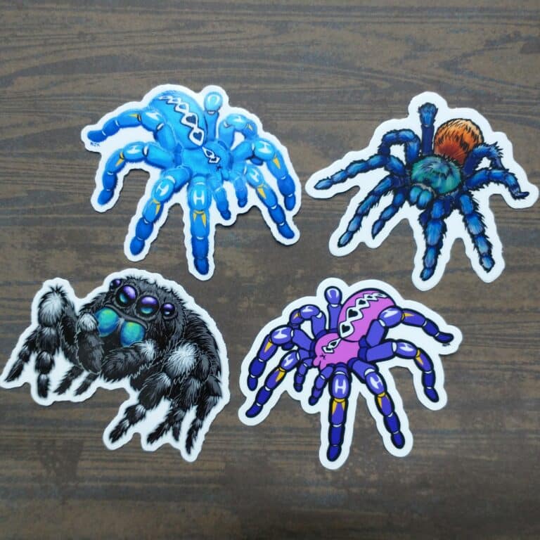 Four vinyl spider stickers. One is a sapphire gooty, one is a greenbottle blue tarantula, the next is a purple gooty, and the last is a cute jumping spider with beautiful galaxy eyes and turquoise colored chelicerae.
