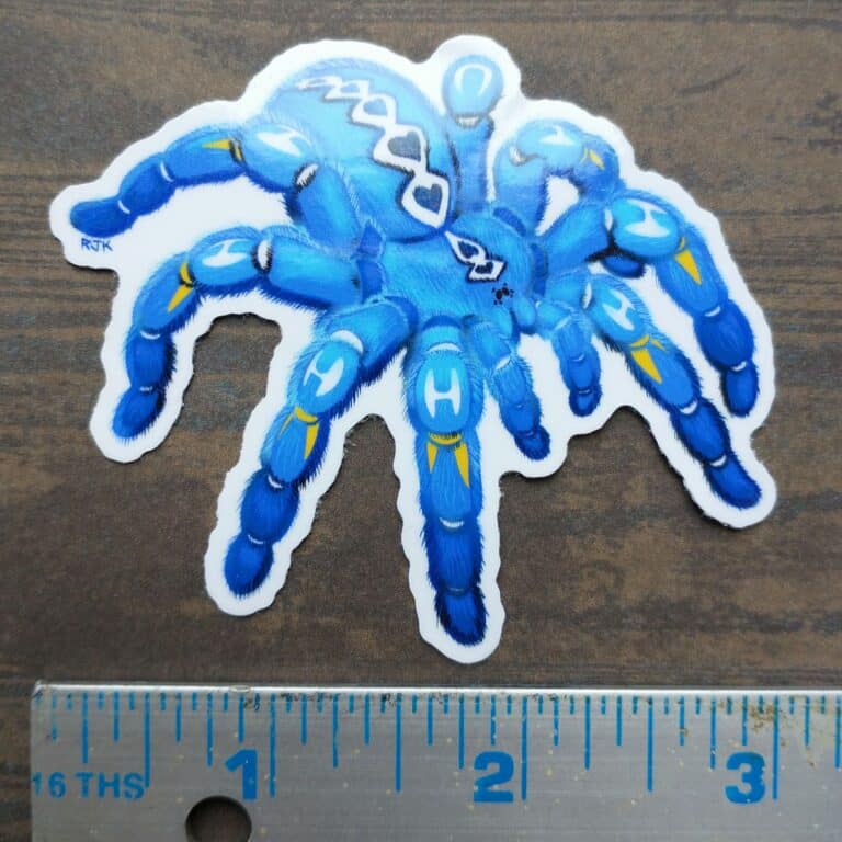 A lovely illustrated sticker of a gooty sapphire (poecilotheria metallica) spider.