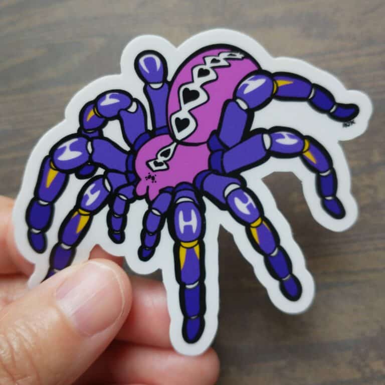 A person's hand holding an illustrated purple gooty (poecilotheria metallica) sticker