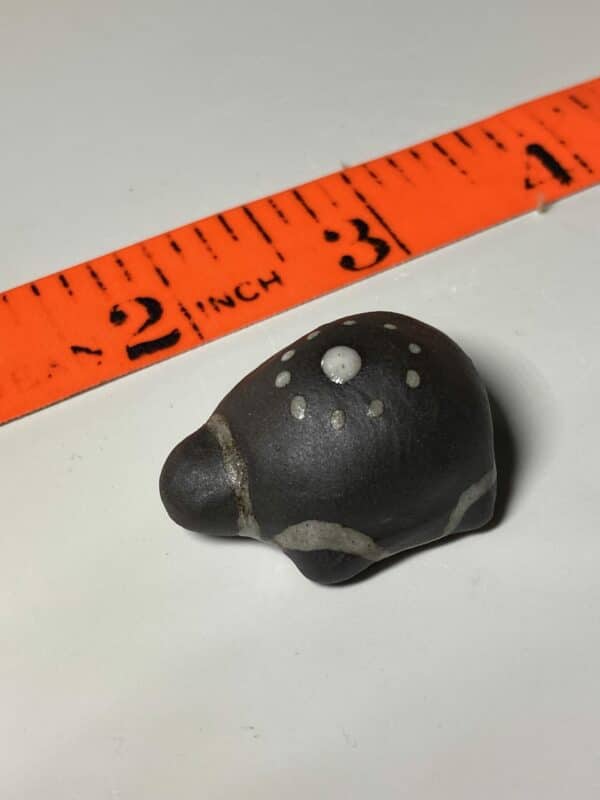 tiny brown and white turtle