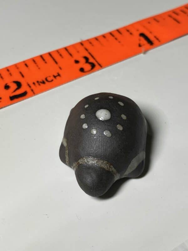 tiny brown and white turtle