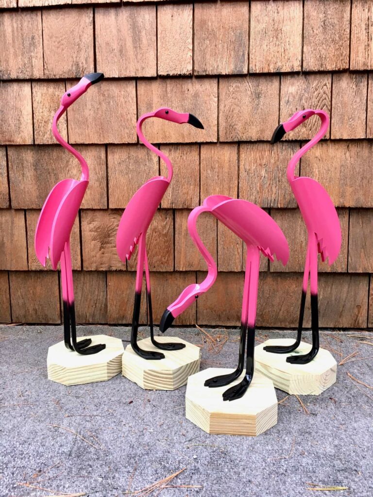 baby flamingos