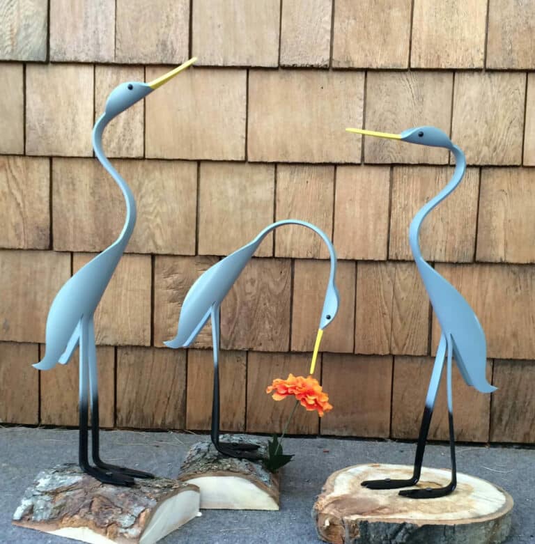 baby herons 1