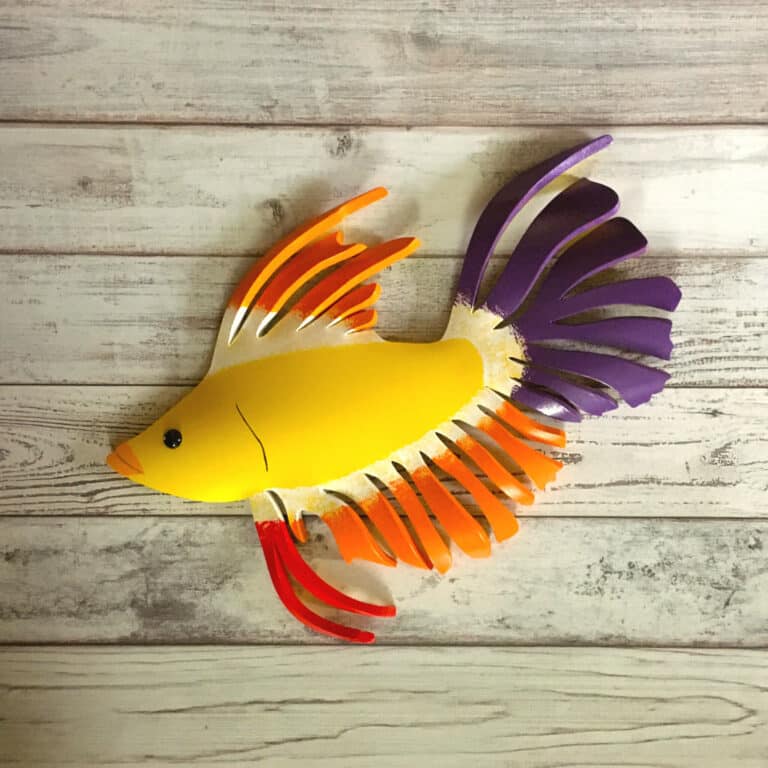 fancy fish 11