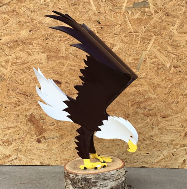 new eagles 11a