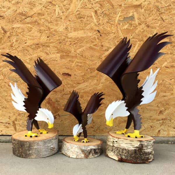 new eagles 12a
