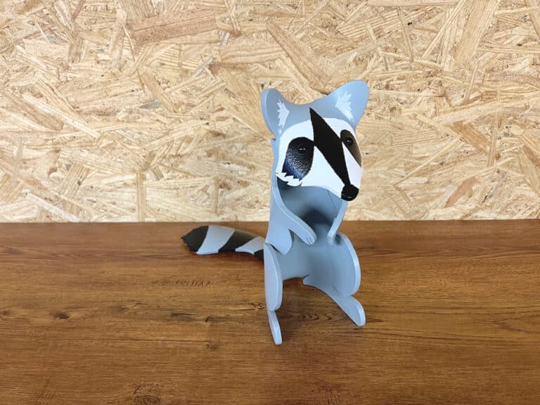raccoon 1