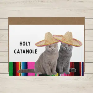 Holy Catamole Card front