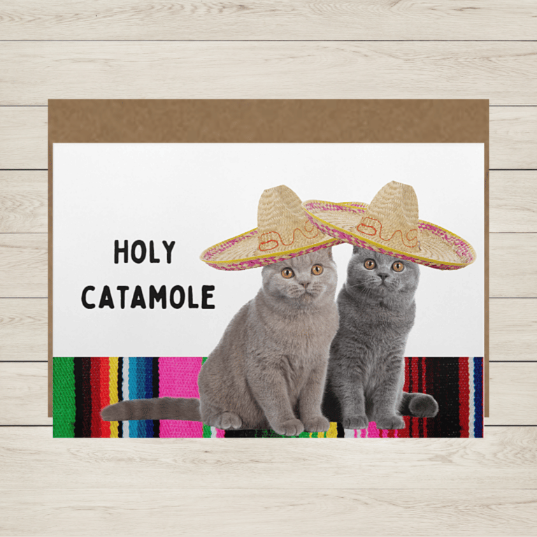 Holy Catamole Card front