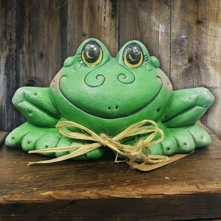 Small Garden Frog