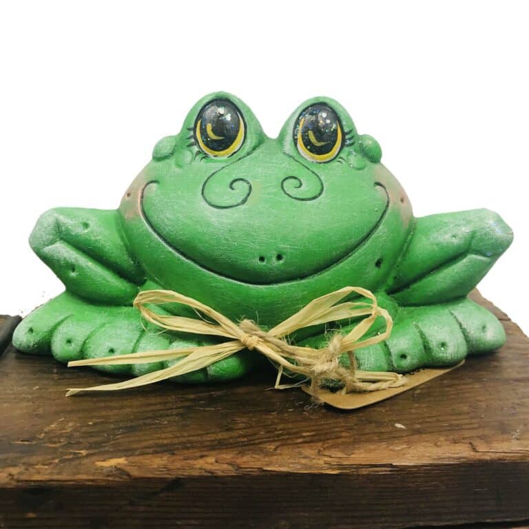 Small Garden Frog