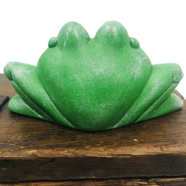 Small Garden Frog