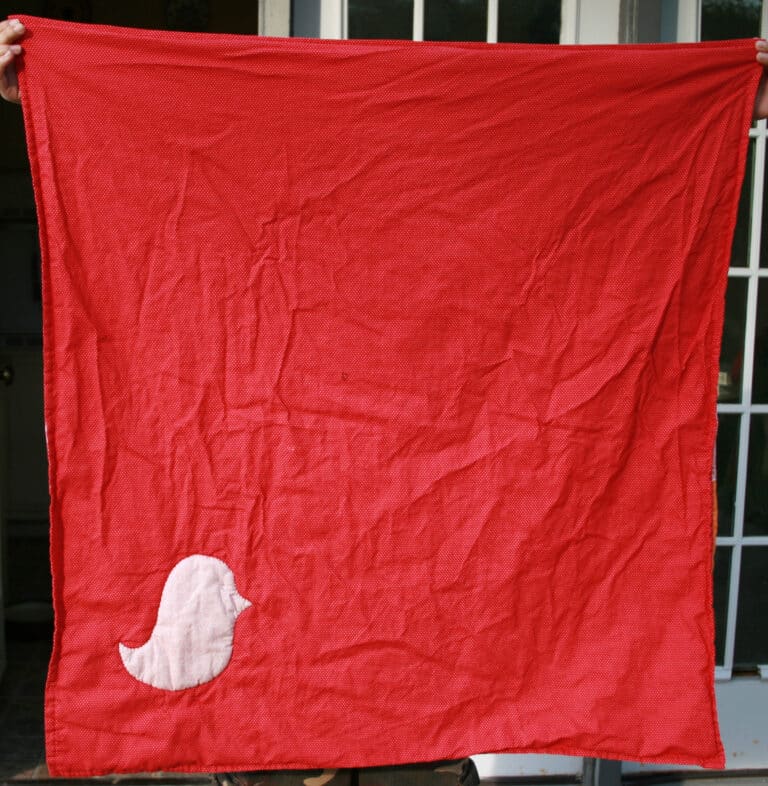 chick pink orange2