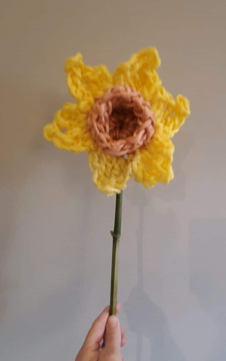 daffodil