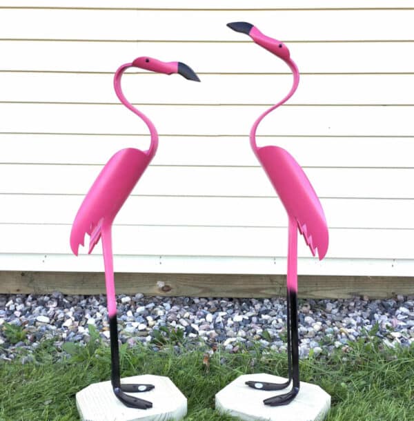 flamingo 5