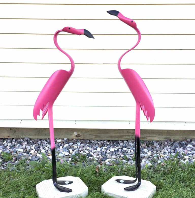 flamingo 5