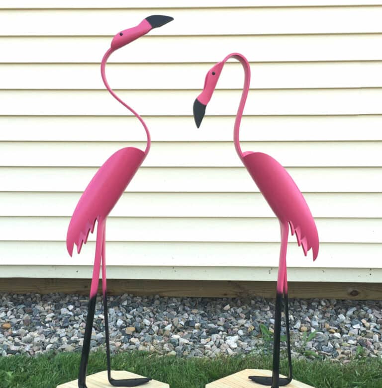 flamingos new daddy cropped
