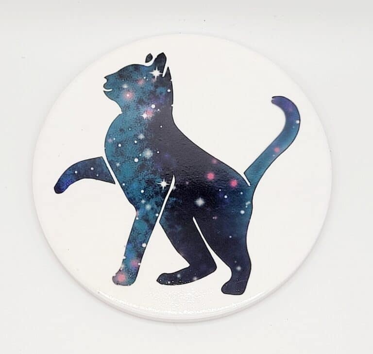 kitty1.co