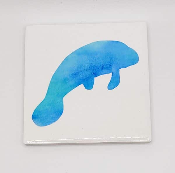 manatee.co scaled
