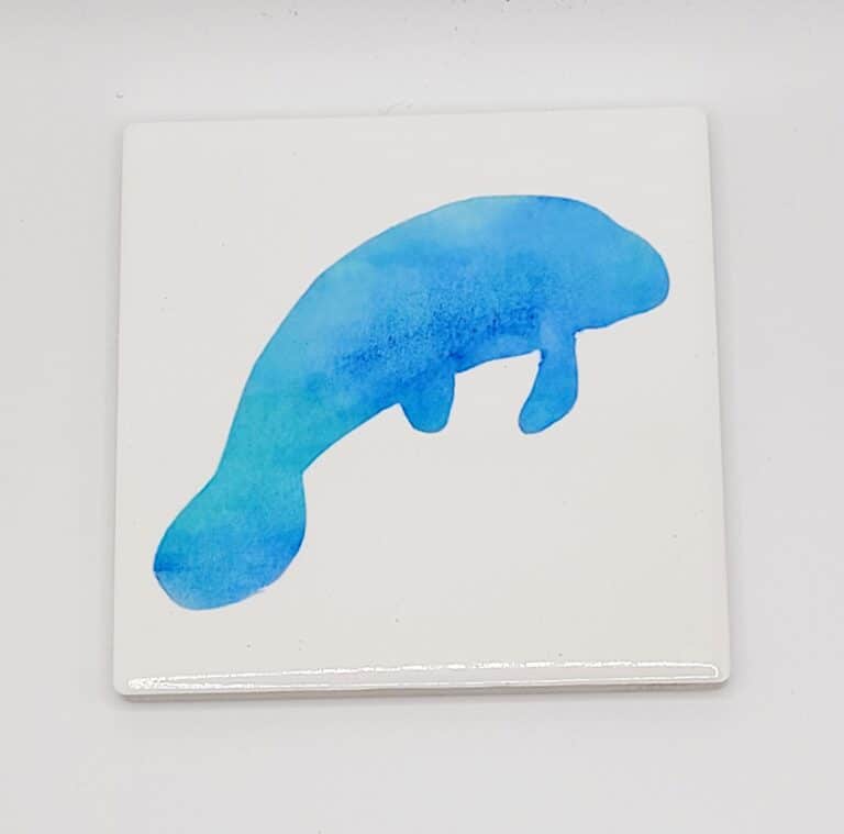 manatee.co