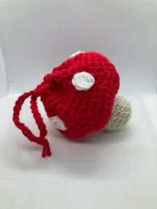 mini mushroom dice bag