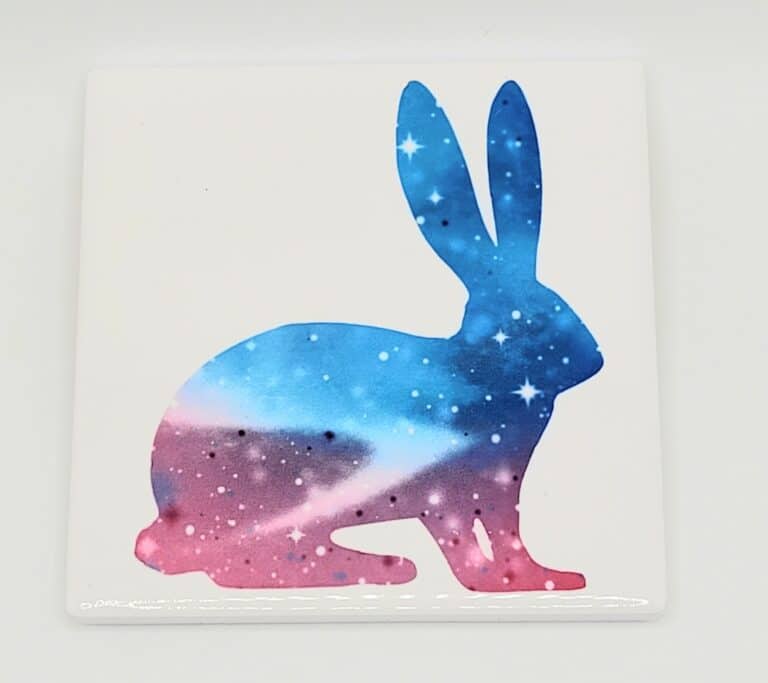 rabbit.co