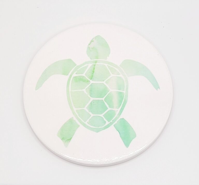 turtle.co
