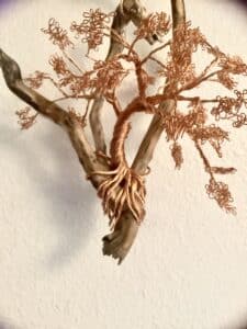 Wire bonsai tree.made from 20g copper colored wire and mounted to,some local Oregon wood,found by the Ump n-qua river. Wire bonsai tree.made from 20g copper colored wire and mounted to,some local Oregon wood,found by the Ump n-qua river.