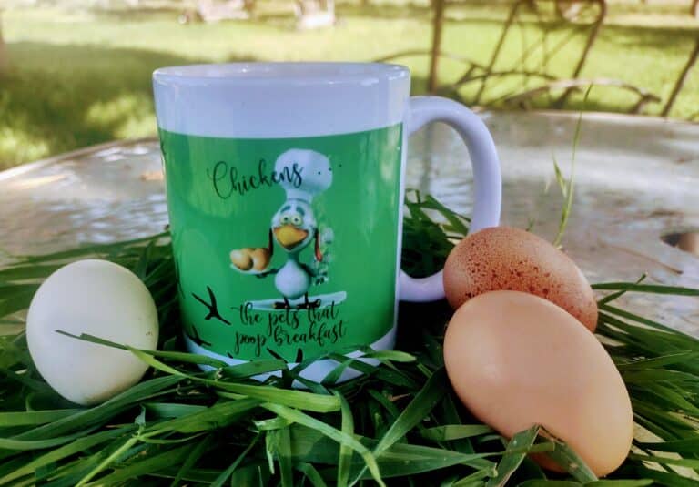 Chickens poop breakfast mug