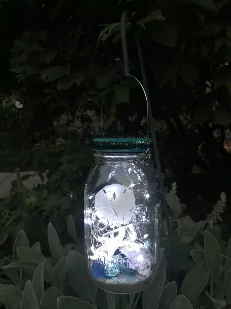 image of tropical solar jar lantern