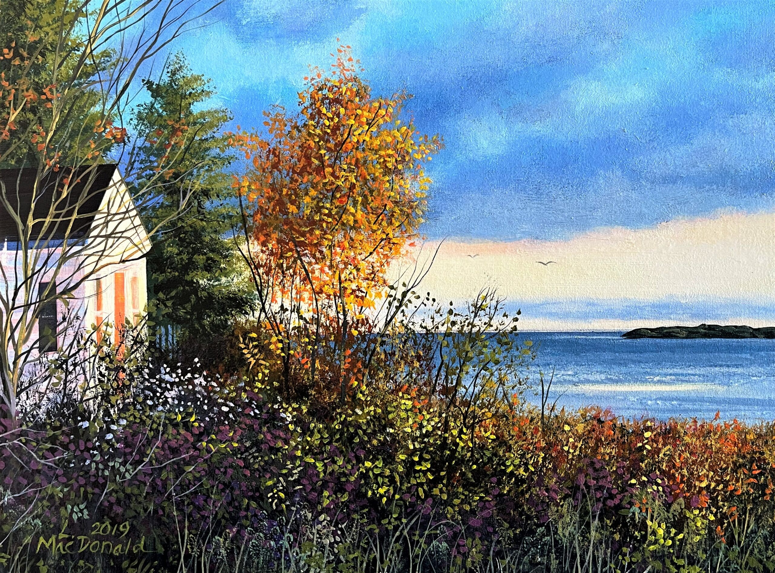 THe Cottage Next Door scaled
