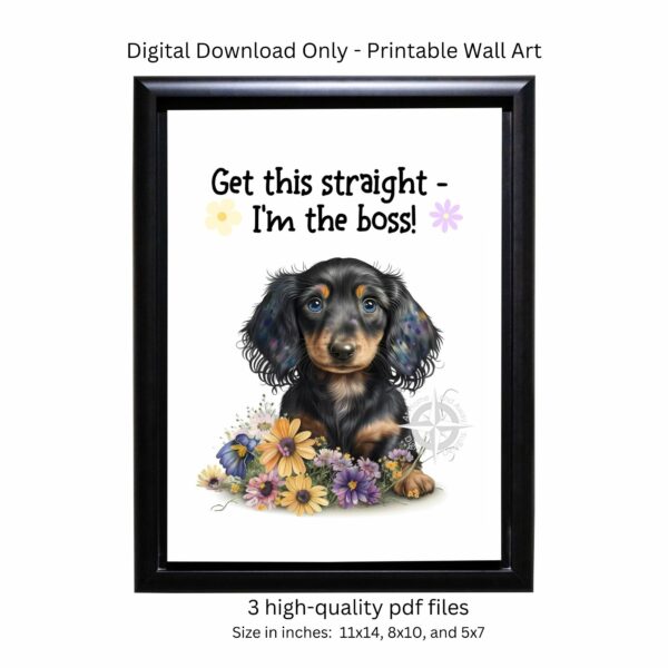 bossydachshundpuppy photo1