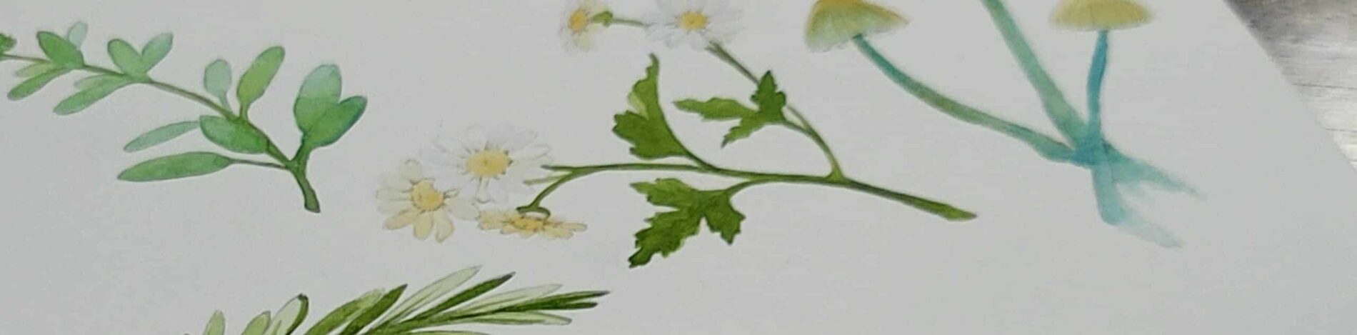 Eudemonia Art & Gifts