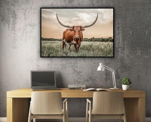 longhorn hipcamp wall7