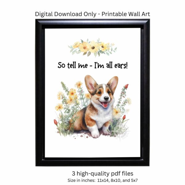 Corgiears photo