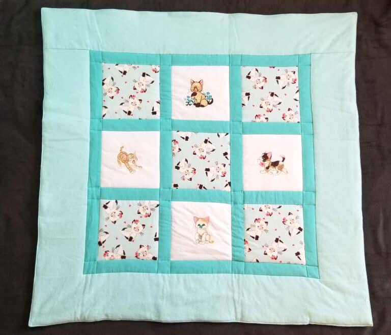 kittens teal 1