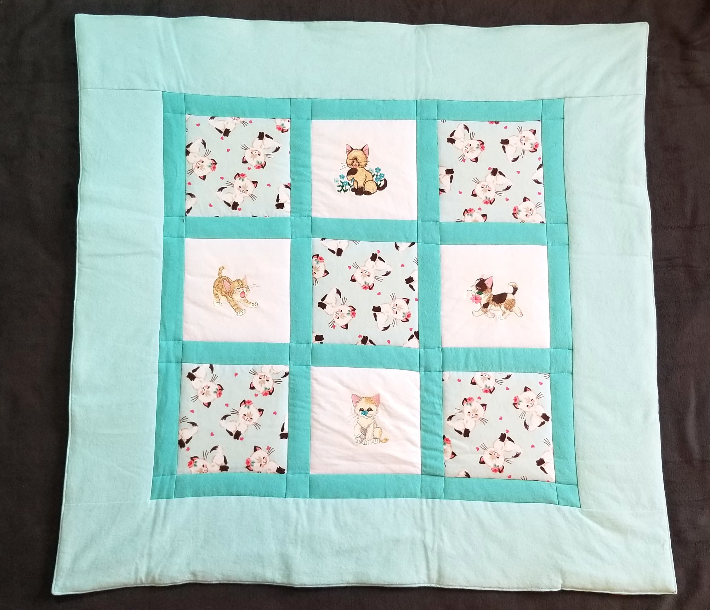 kittens teal 1
