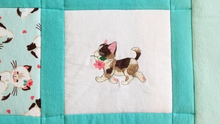 kittens teal 4