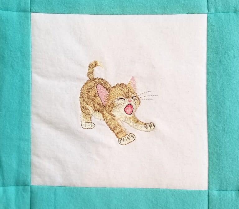 kittens teal 5