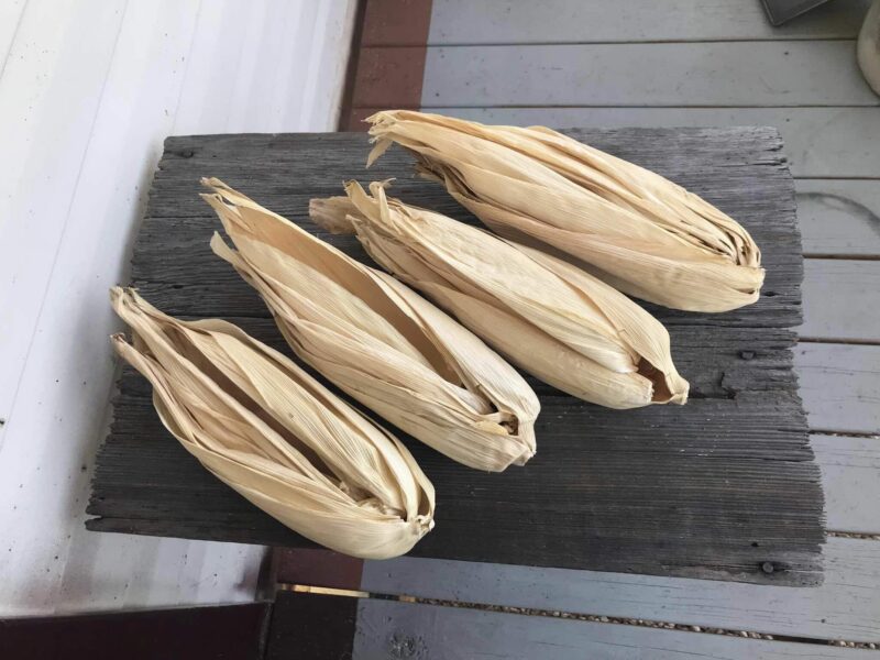 4 Giant Corn Husks Basket Weaving, Wreaths, Doll Making My