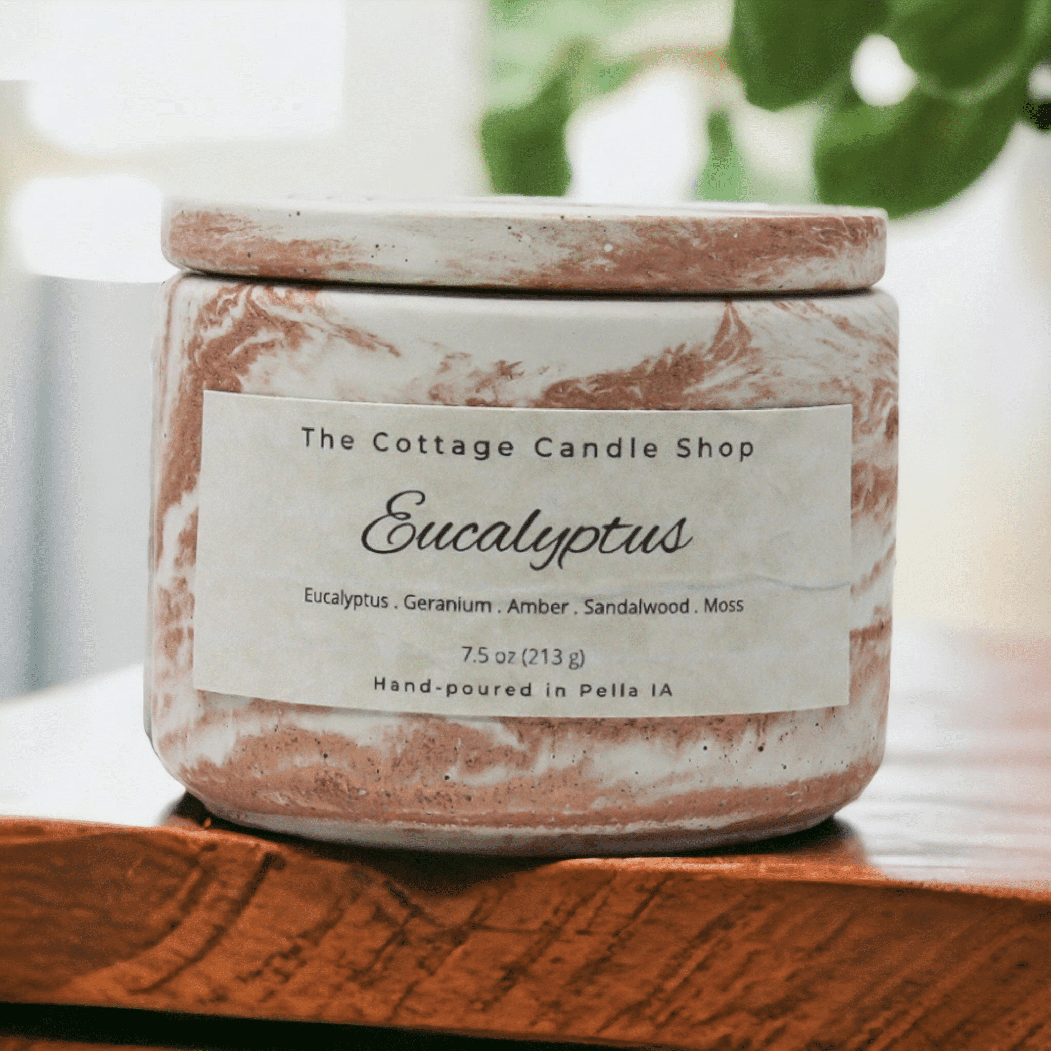 PhotoRoom eucalyptus