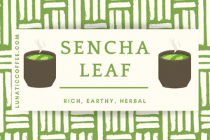 Sencha